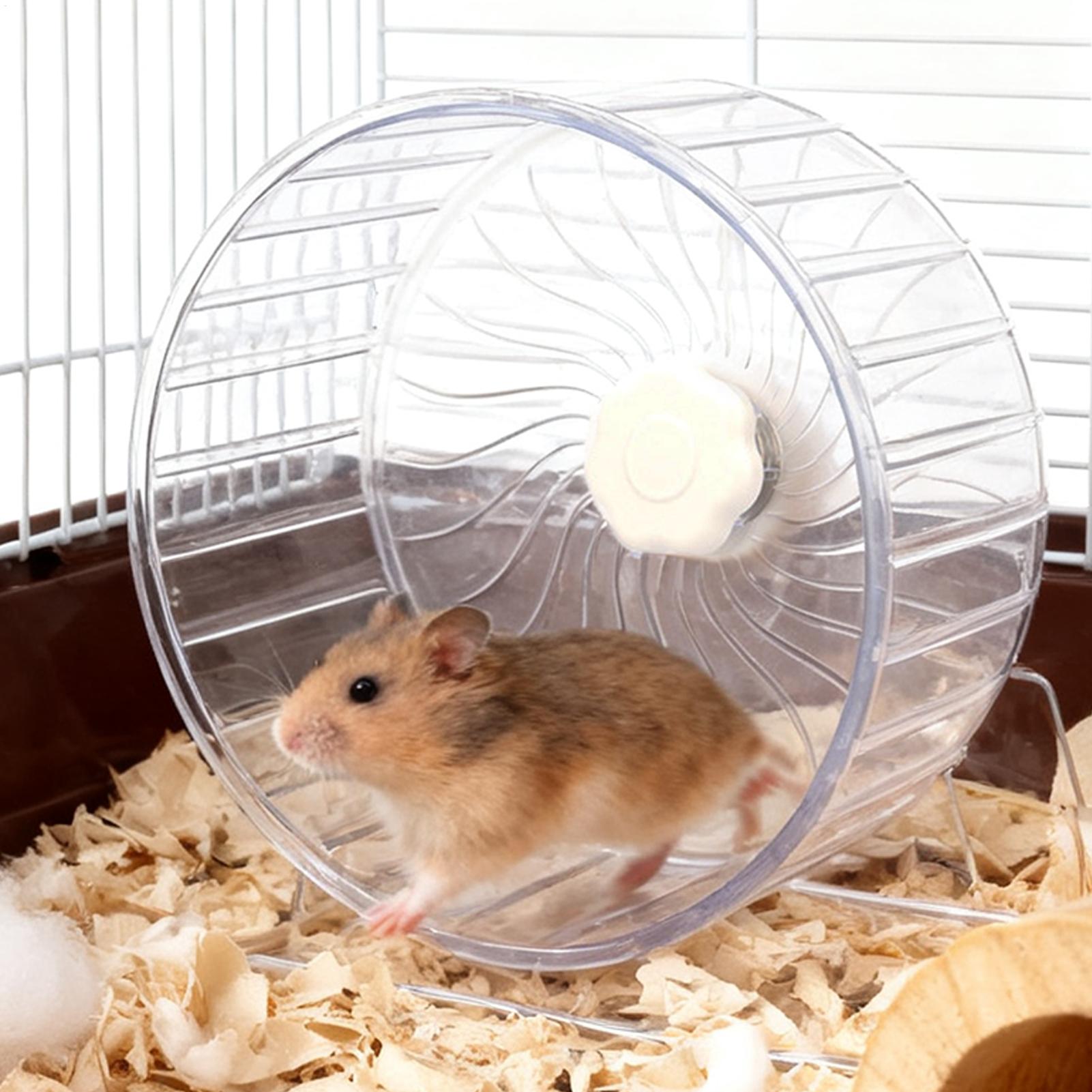 Hamster Cage Wheel - Hamster-Laufrad Transparentes Verbreitertes Laufrad-Spielzeug für Kleintiere