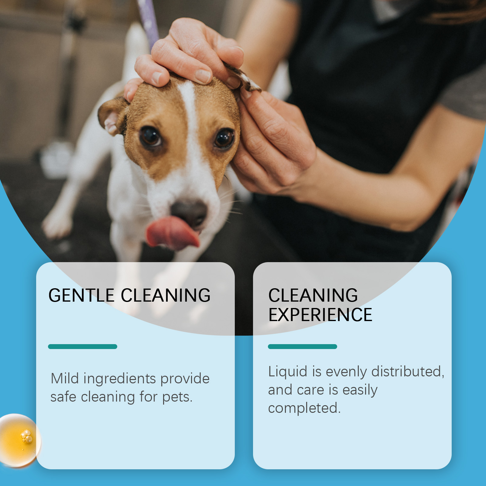 Haustier-Ohrenreiniger für Hun – Pet Ear Cleaner Bewertung und Preis