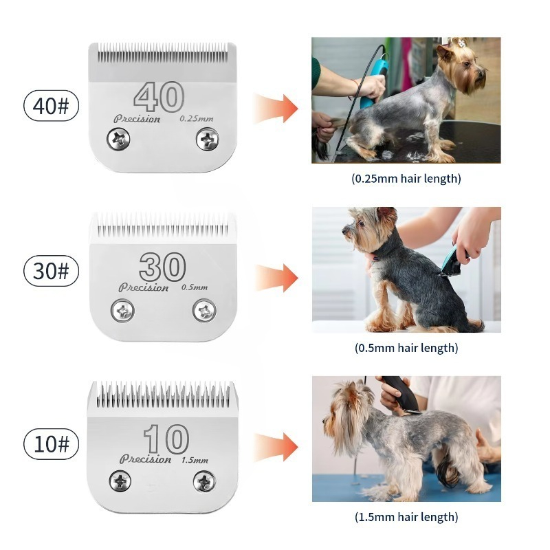 A5 Clipper-Klingen 10 Stück #  – Dog Grooming Clippers Bewertung und Preis