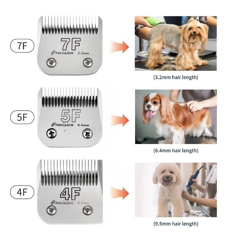 A5 Clipper-Klingen 10 Stück #  – Dog Grooming Clippers Bewertung und Preis