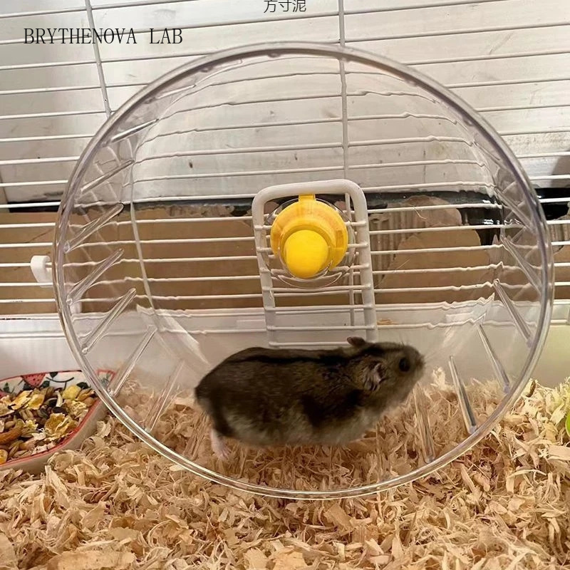 Hamster-Laufrad mit Ständer, T – Hamster Cage Wheel Bewertung und Preis