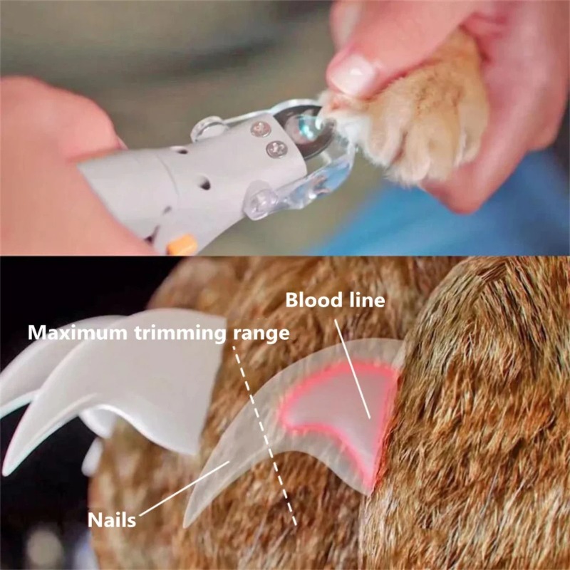 1 Stück Haustier-Nagelknipser  – Dog Grooming Clippers Bewertung und Preis