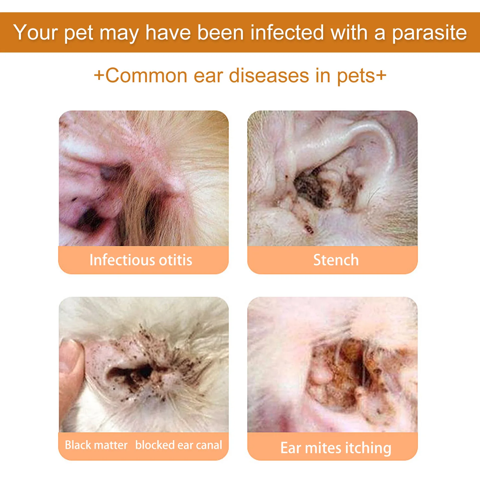 Haustiere Ohr Reiniger Tropfen – Pet Ear Cleaner Bewertung und Preis