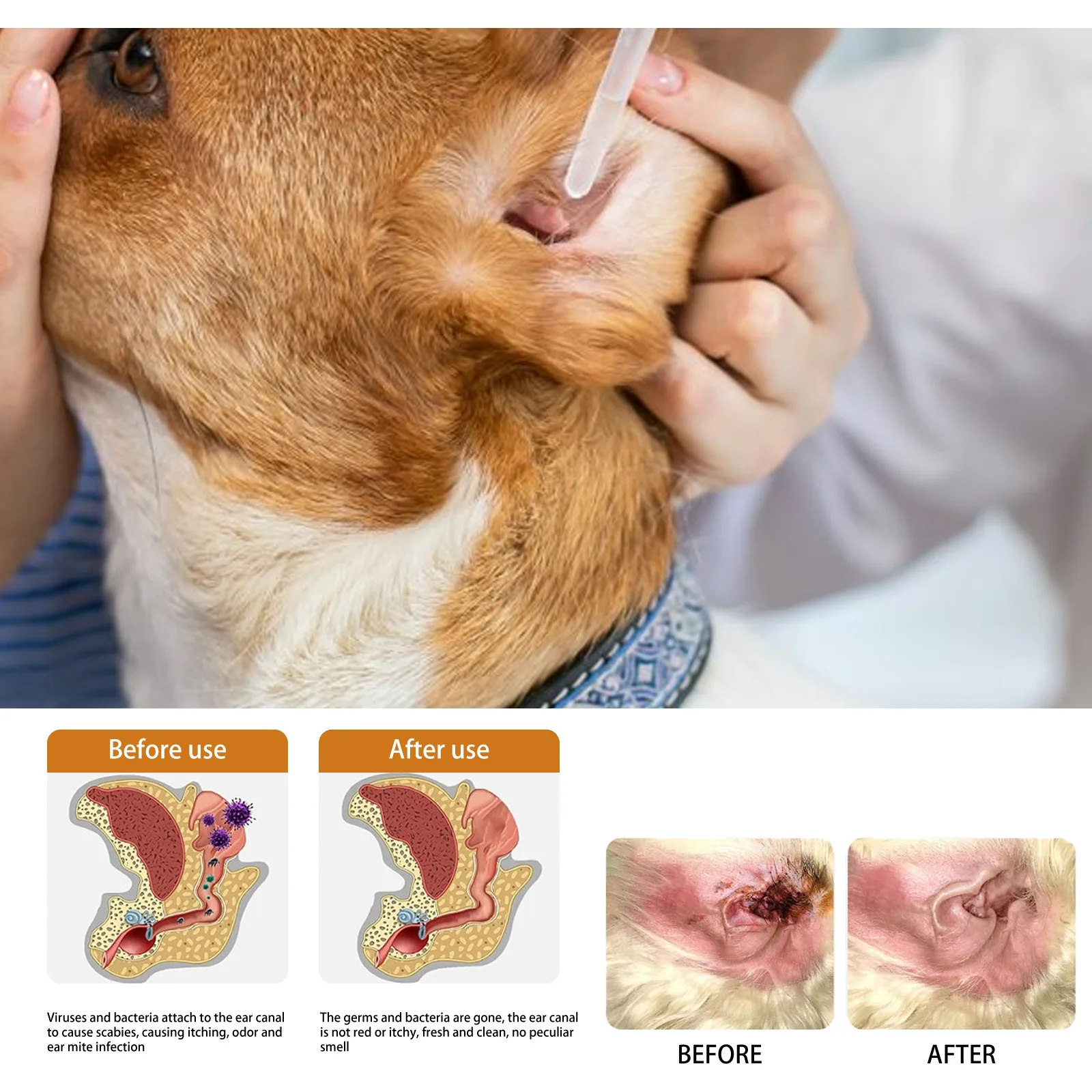 Haustiere Ohr Reiniger Tropfen – Pet Ear Cleaner Bewertung und Preis