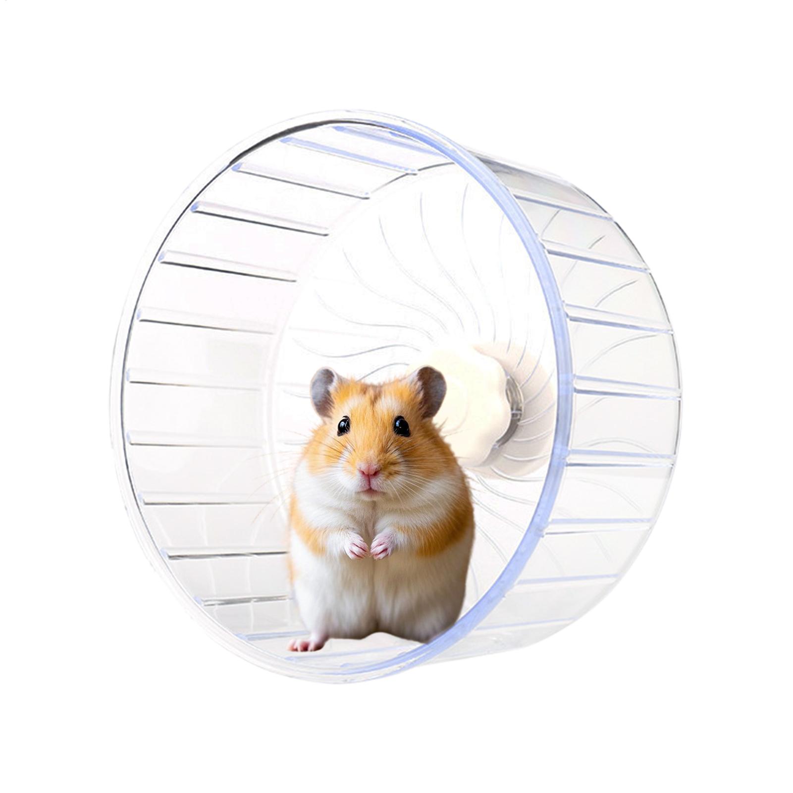 Hamster-Laufrad Transparentes  – Hamster Cage Wheel Bewertung und Preis