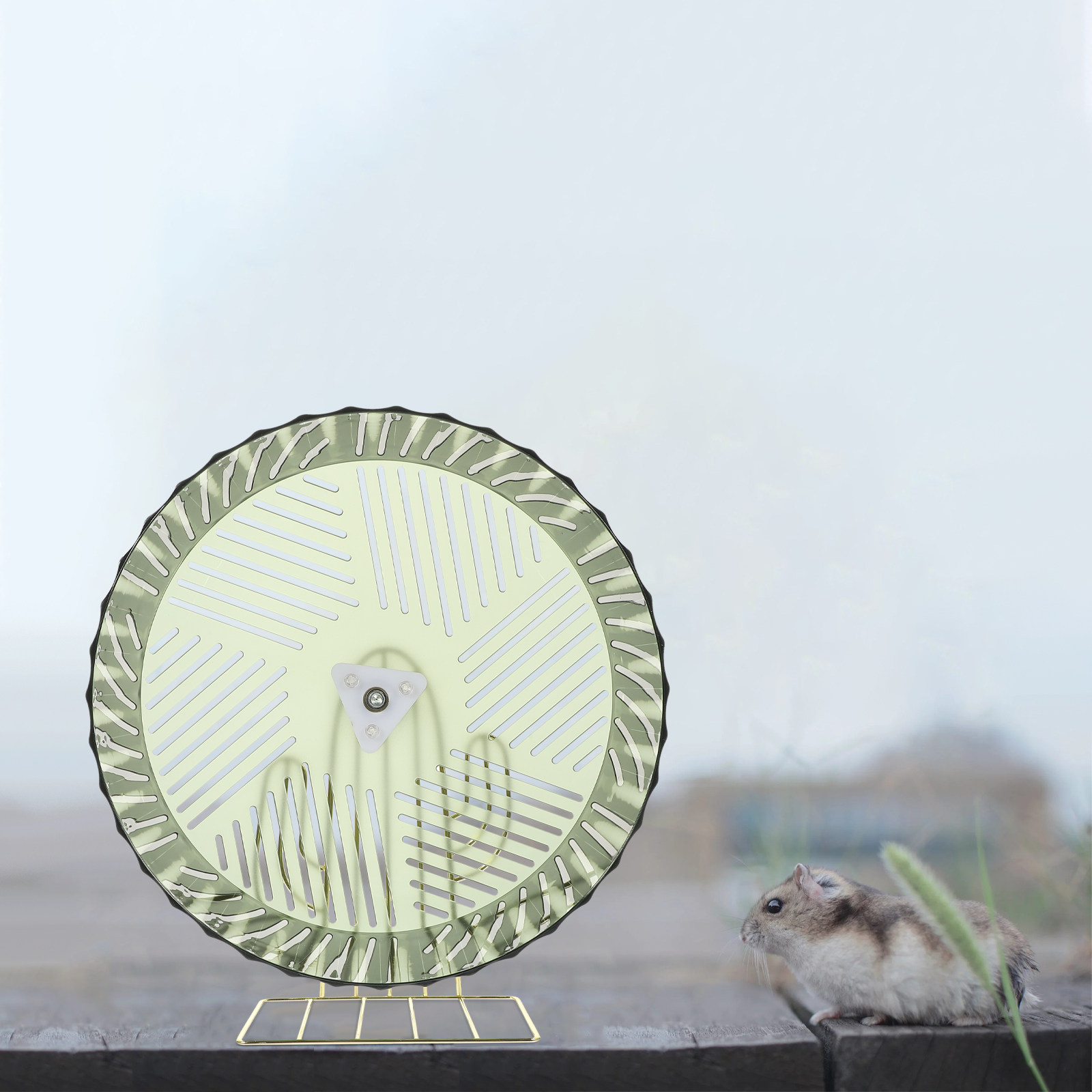 Hamsterrad für gesundes Wachst – Hamster Cage Wheel Bewertung und Preis