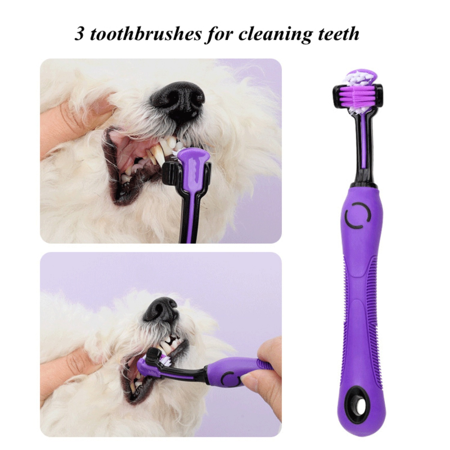 9-teiliges Komplettset zur Tie – Dog Grooming Clippers Bewertung und Preis
