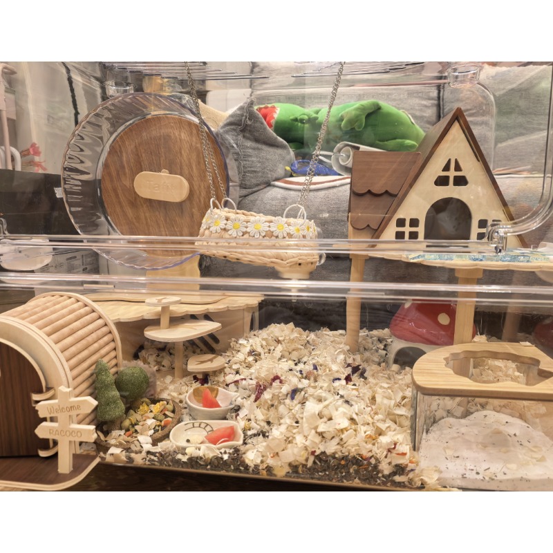 Geräuschloses Transparentes Ha – Hamster Cage Wheel Bewertung und Preis