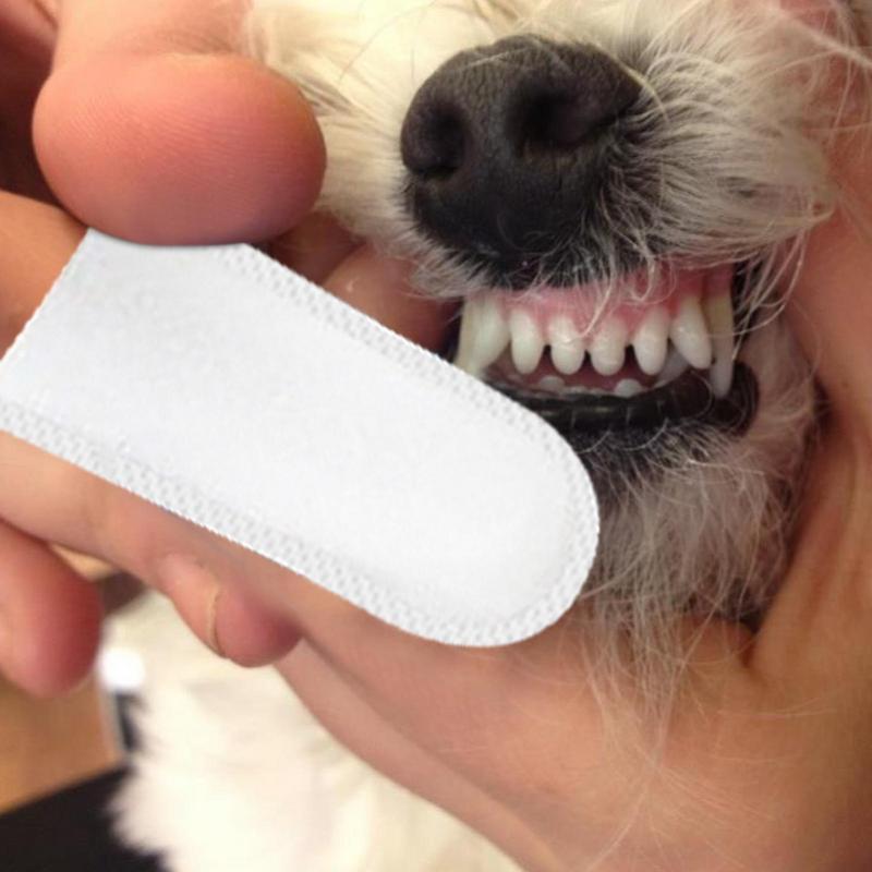 50 Stück Voreingefücher für Ha – Pet Ear Cleaner Bewertung und Preis