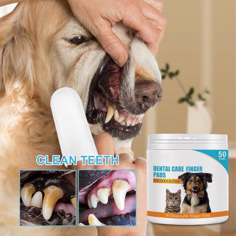 50 Stück Voreingefücher für Ha – Pet Ear Cleaner Bewertung und Preis