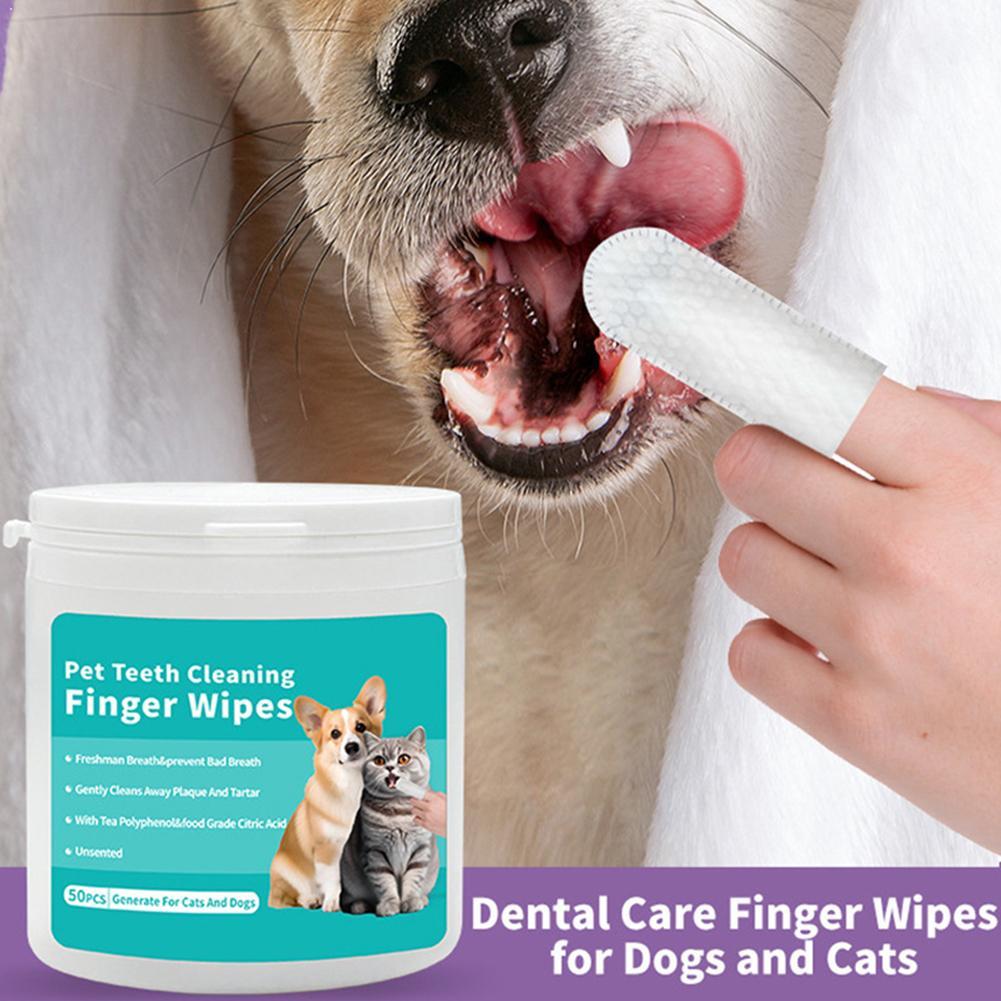 Fingerwischtücher zur Zahnrein – Pet Ear Cleaner Bewertung und Preis