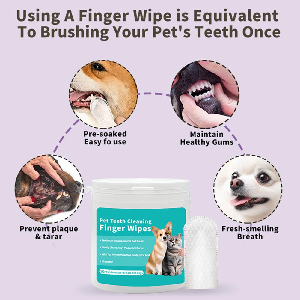 Fingerwischtücher zur Zahnrein – Pet Ear Cleaner Bewertung und Preis