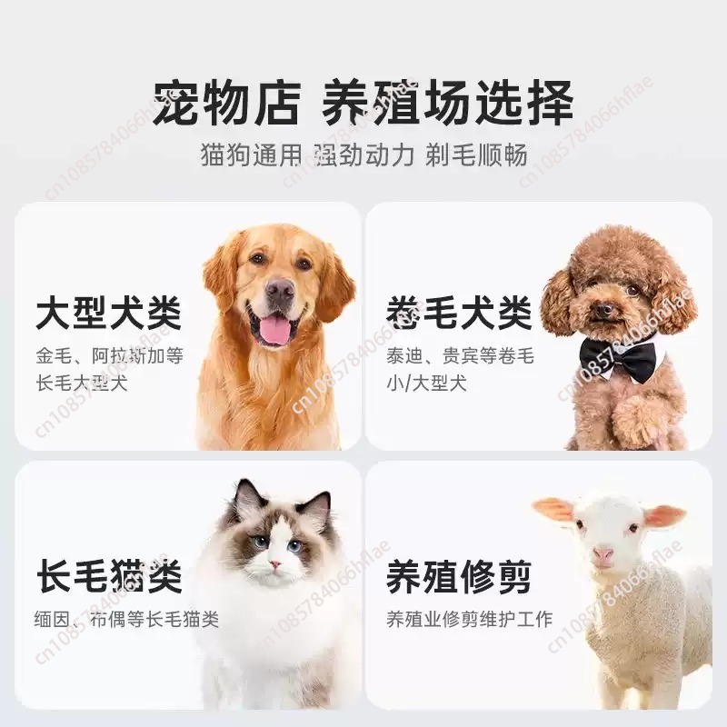 Shernbao Kabelloses Tierpflege – Dog Grooming Clippers Bewertung und Preis