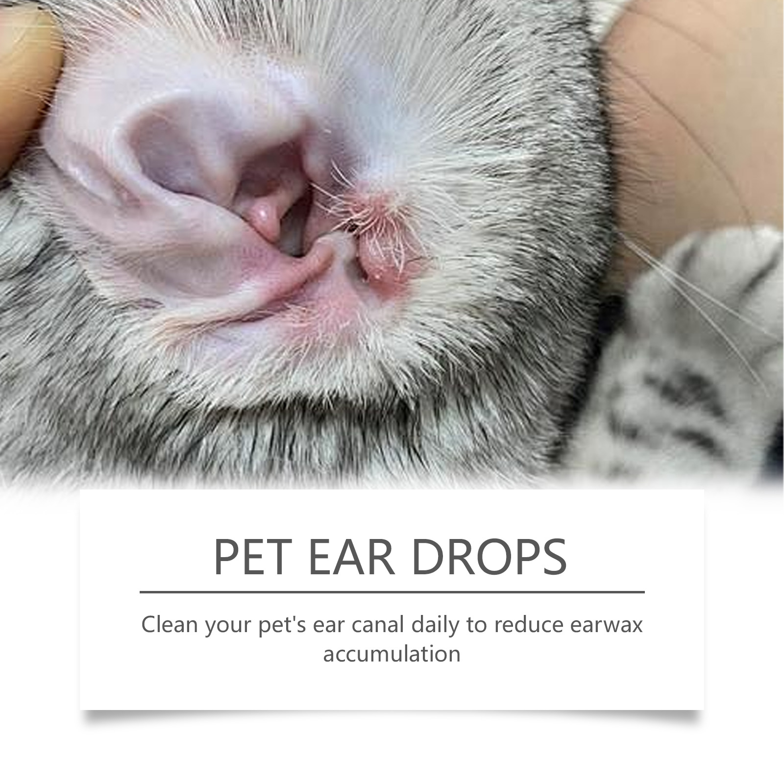 Haustier-Ohrreiniger, entfernt – Pet Ear Cleaner Bewertung und Preis