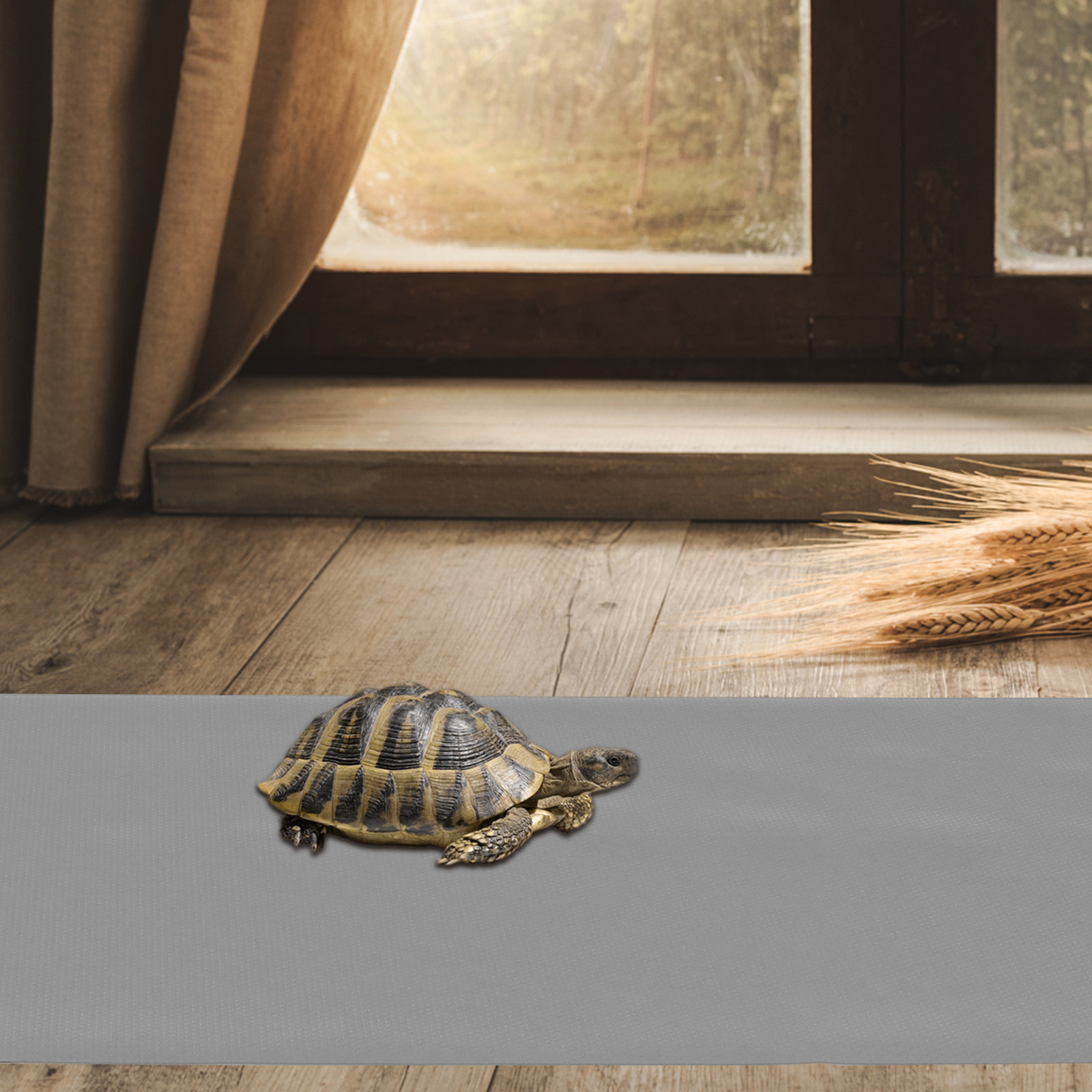 1 Stück EVA Reptilienkäfigmatt – Cat Litter Mat Bewertung und Preis