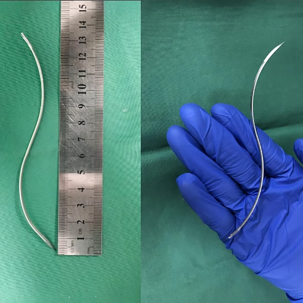 Tiermedizinische S-förmige Nah – Pet Supplies Vet Clinic Bewertung und Preis