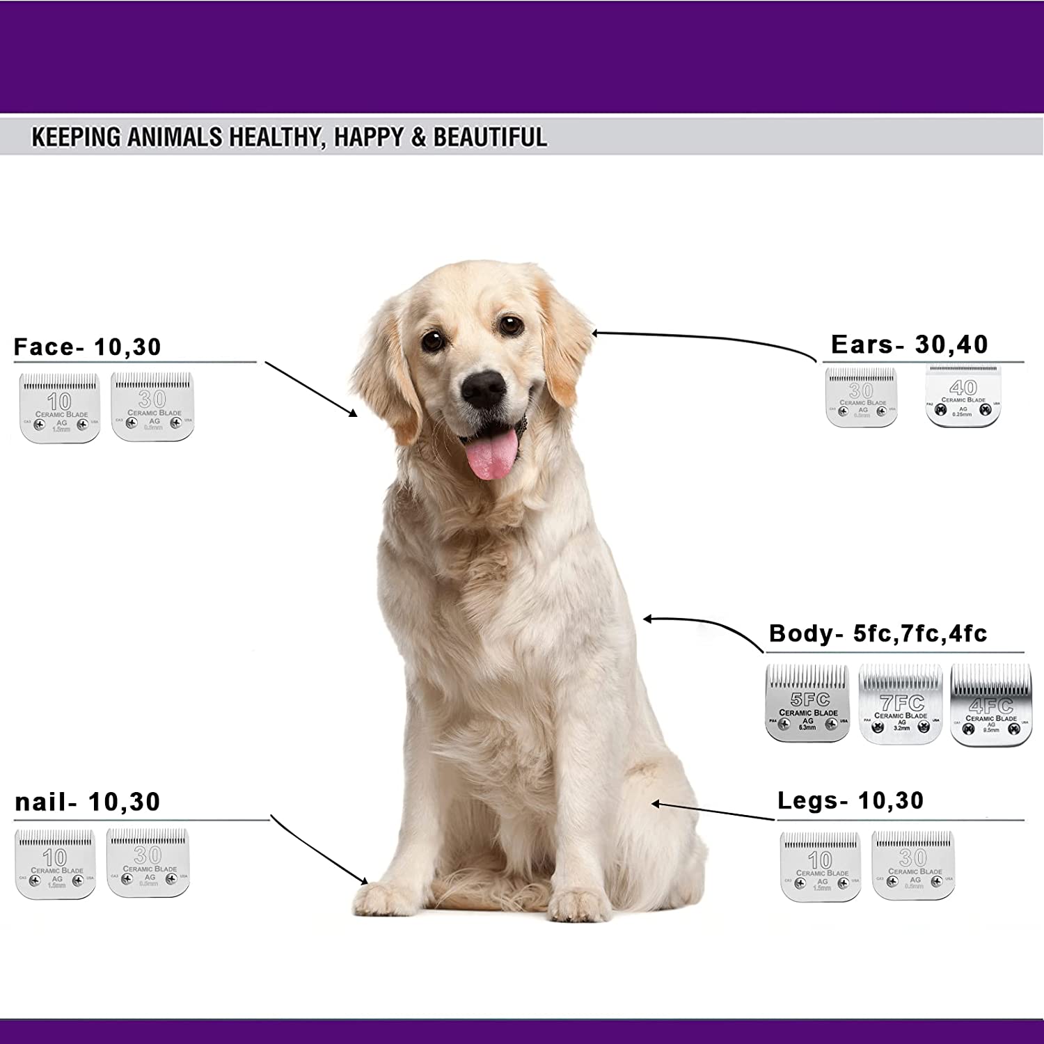 5FC abnehmbare Haarschneidemas – Dog Grooming Clippers Bewertung und Preis