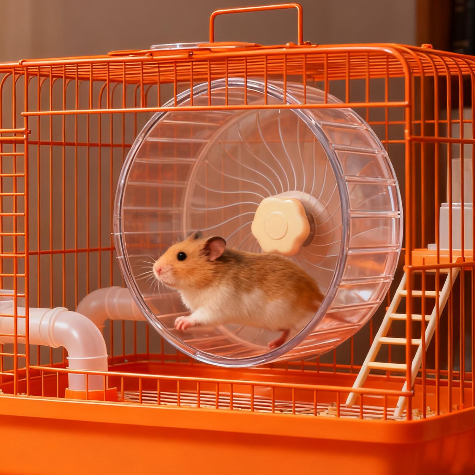 Leises Hamsterrad mit Doppella – Hamster Cage Wheel Bewertung und Preis