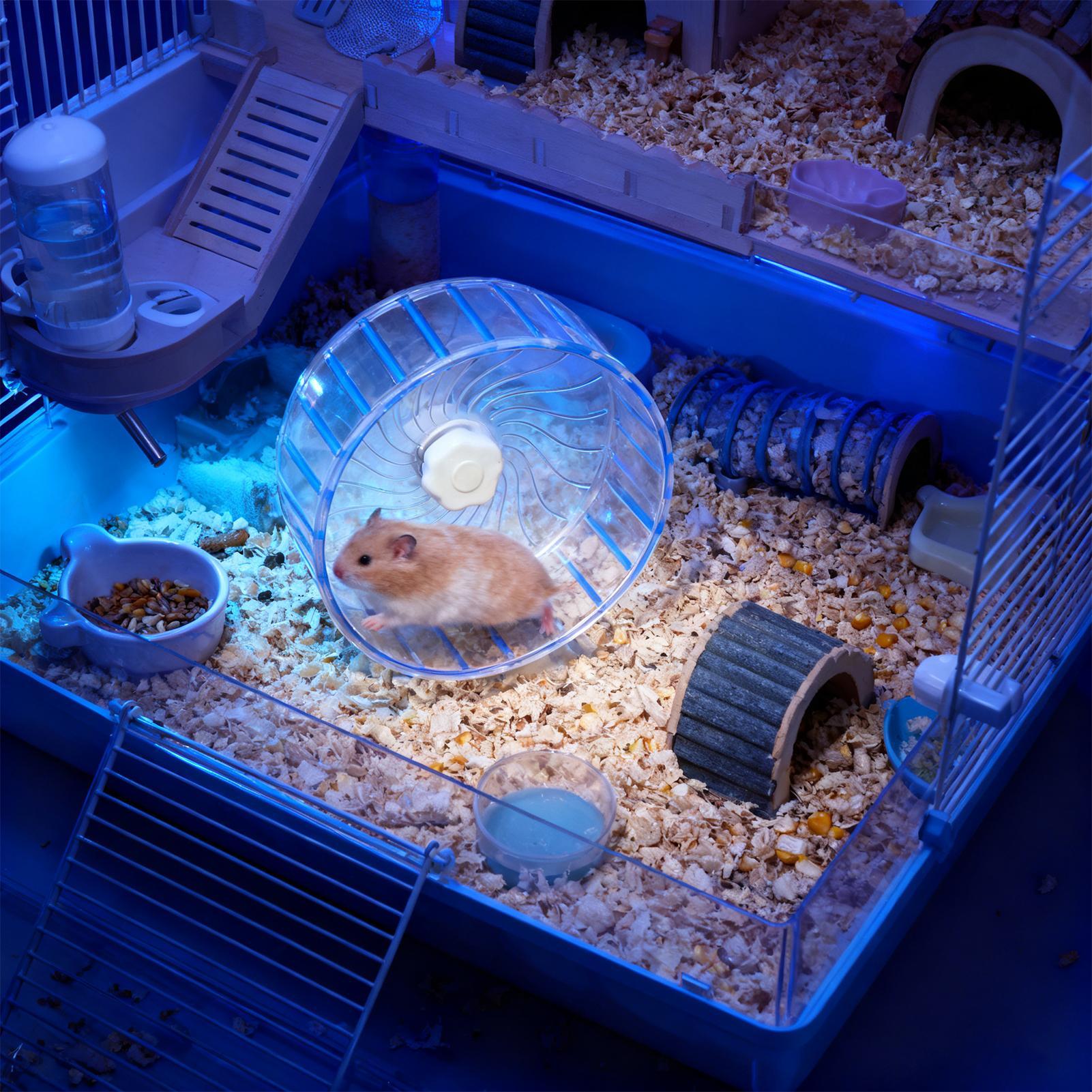 Leises Hamsterrad mit Doppella – Hamster Cage Wheel Bewertung und Preis