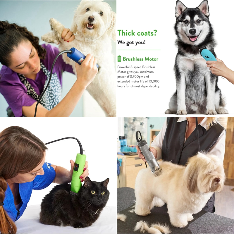 A5-Klinge passend für Andis un – Dog Grooming Clippers Bewertung und Preis