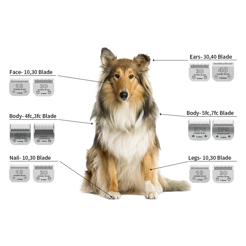 Professionelle abnehmbare Kera – Dog Grooming Clippers Bewertung und Preis