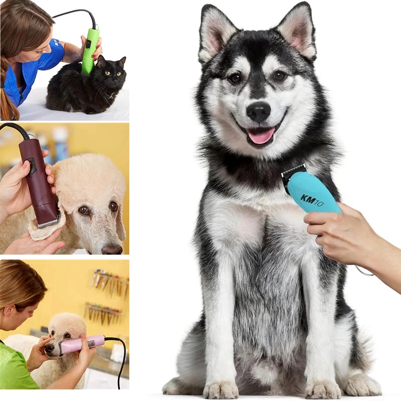 Professionelle abnehmbare Kera – Dog Grooming Clippers Bewertung und Preis
